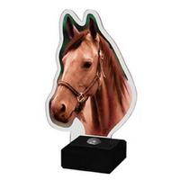 Paardenhoofd Acryl ST-PA001