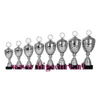 AK5161 Beker Zilver