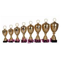 AK5171 Beker Goud