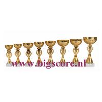 AK5696 Beker Goud