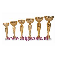 AK6011 Beker Goud