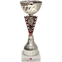 160: AUB 548 Beker Rood-Zilver