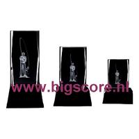 Vissen 3D Kristal BSST 67596