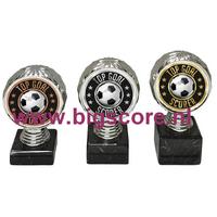 Voetbal TS standaard P514.02