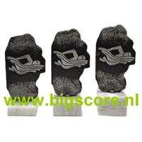 Zwemmen ZWEM-03