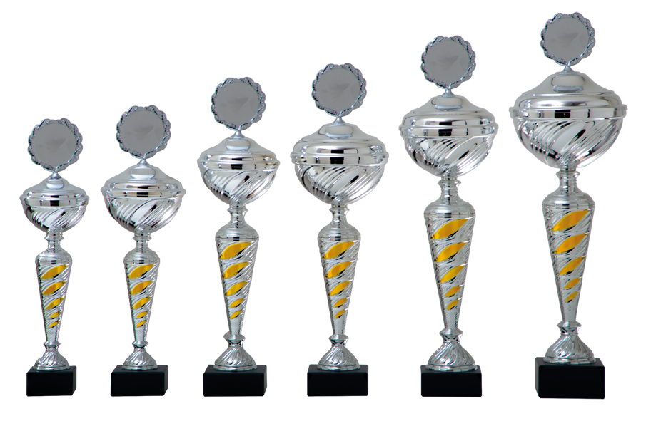 AK5080 Beker Goud-Zilver