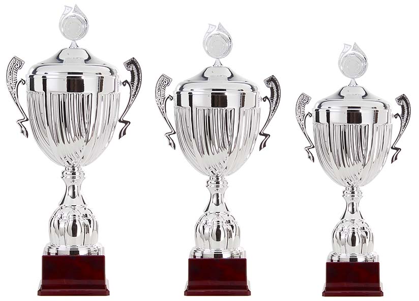 AK5300 Grote beker Zilver met oren