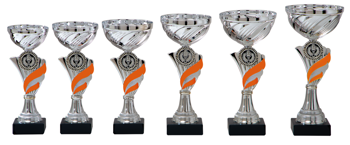 AK5330 Beker Oranje-Zilver