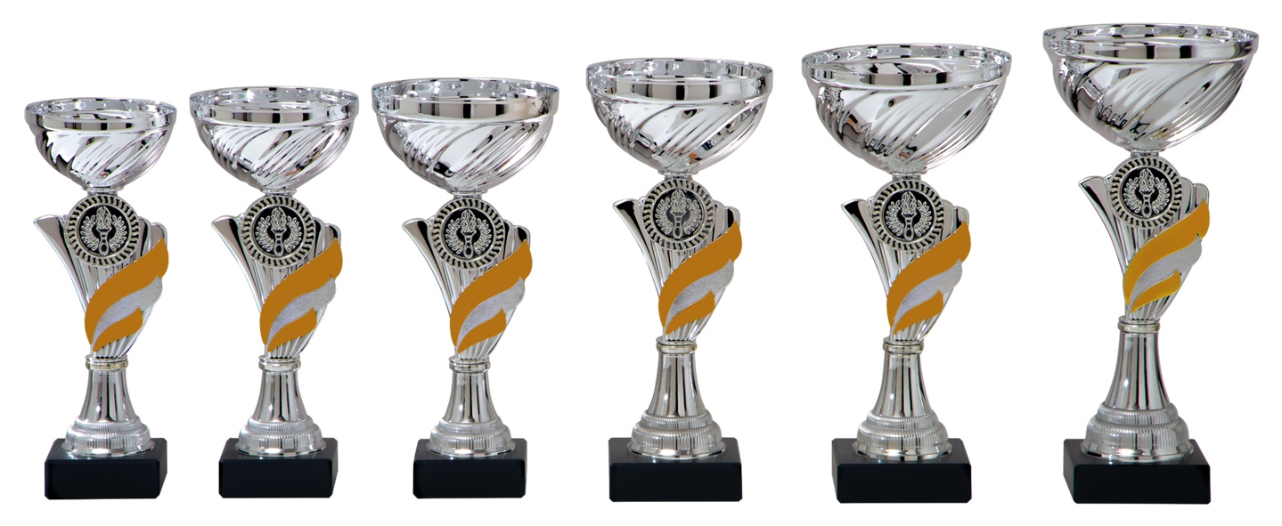 AK5410 Beker Goud-Zilver