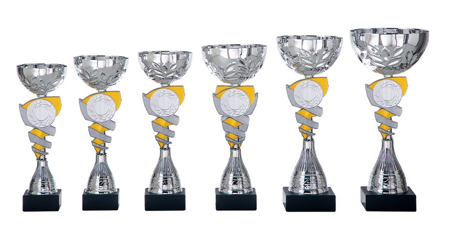 AK5575 Beker Goud-Zilver