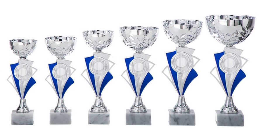 AR1027 Beker Blauw-Zilver