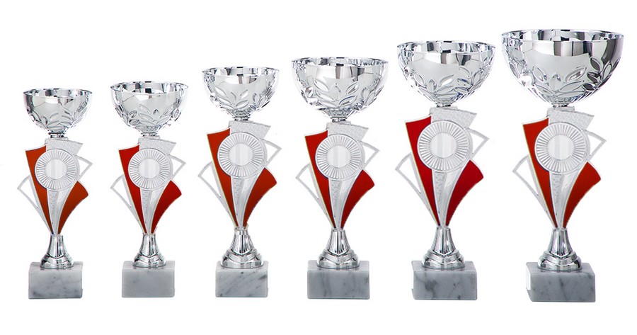 AR1028 Beker Rood-Zilver