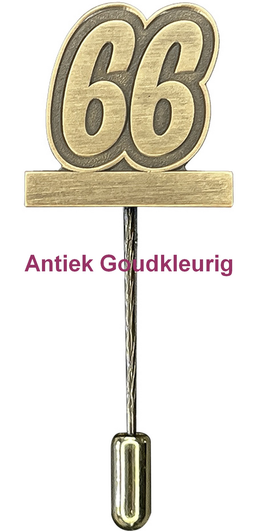 Carnaval Jubileumspeldje 66