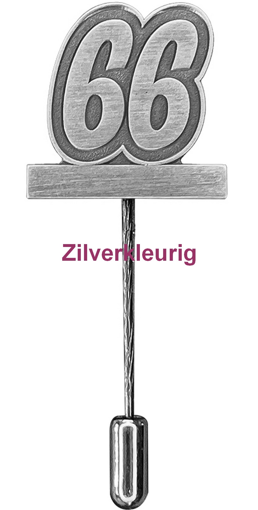 Carnaval Jubileumspeldje 66