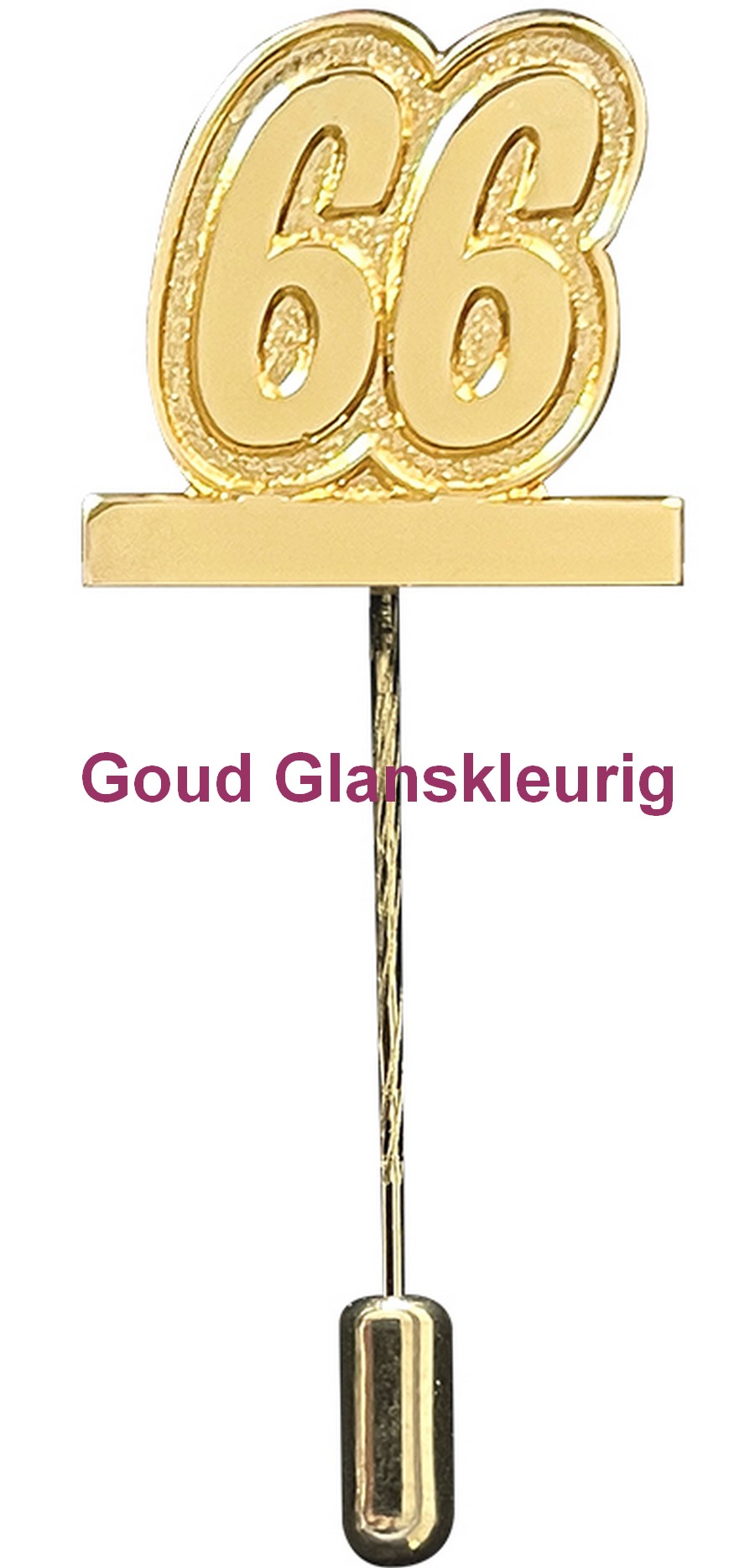Carnaval Jubileumspeldje 66