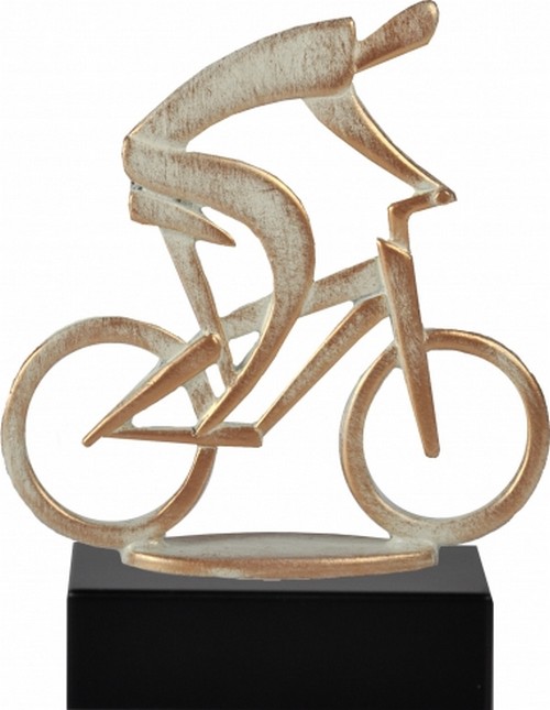 Wielrennen Mountainbike Metaalstandaard BEL479